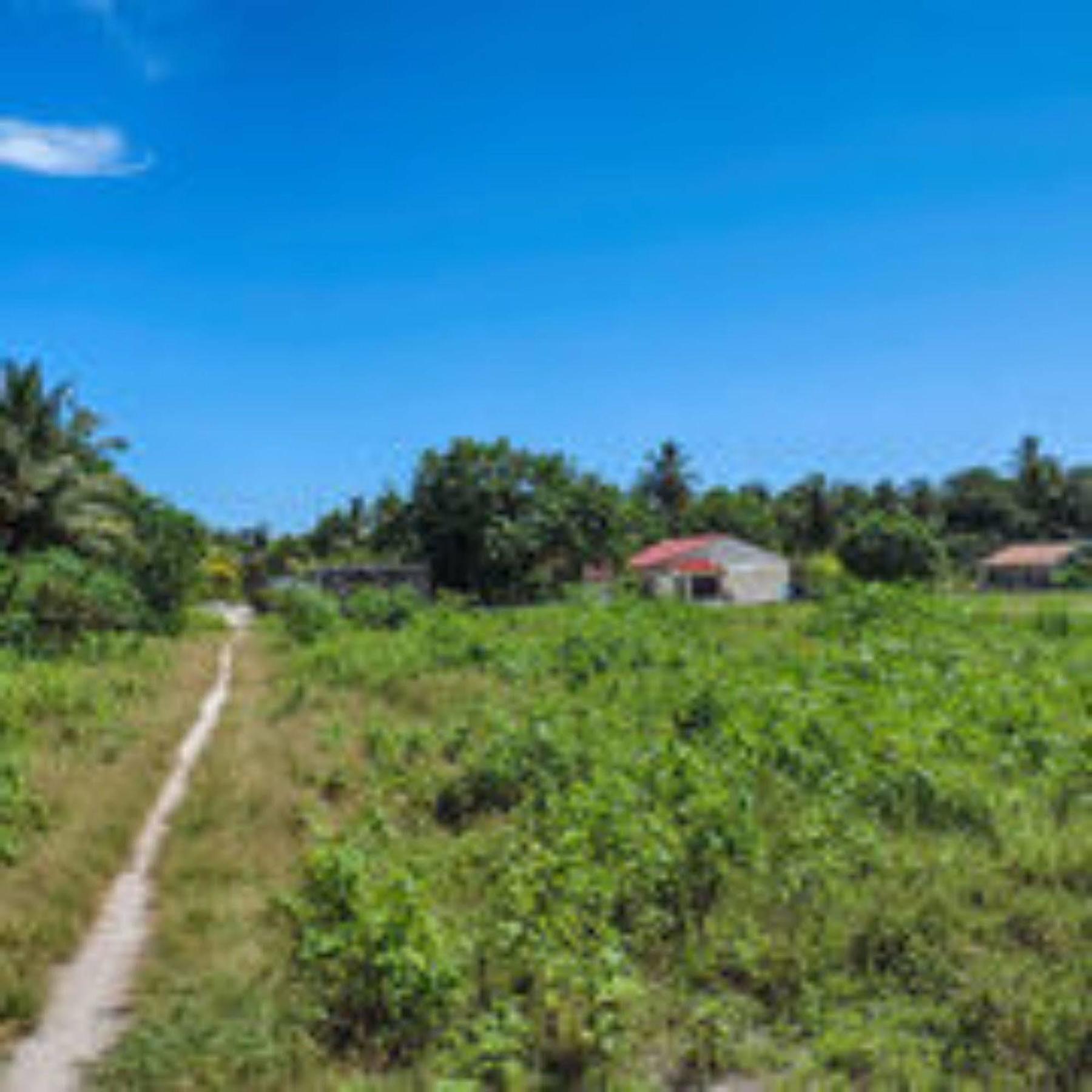Feridhoo Inn Buitenkant foto