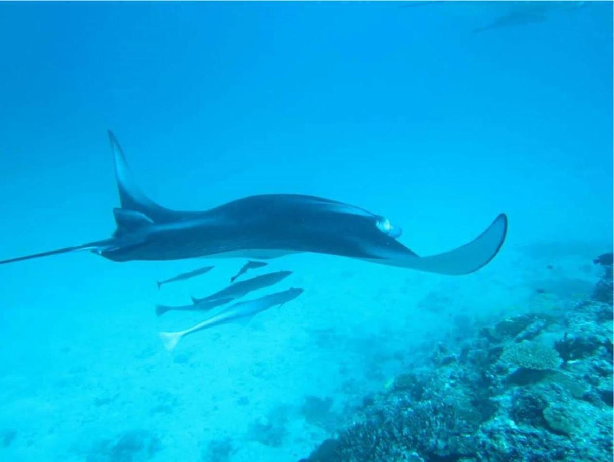 Feridhoo Inn Buitenkant foto